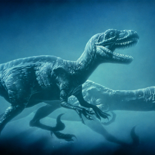 profimedia-0102210596