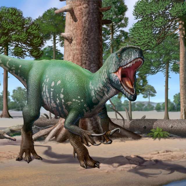 megaraptor
