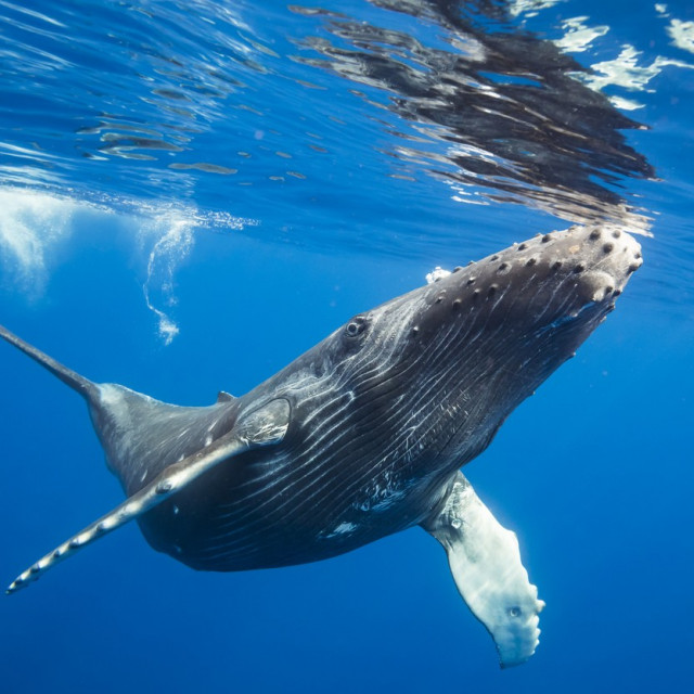 profimedia-0490518953