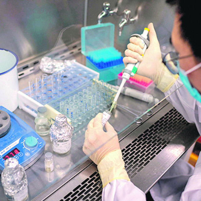 306767-392519-AFP_1QW7BJ_1