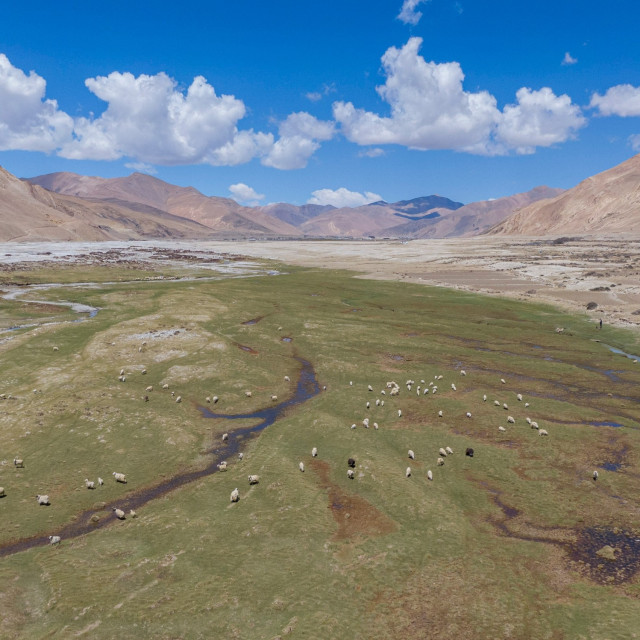 profimedia-0520061776