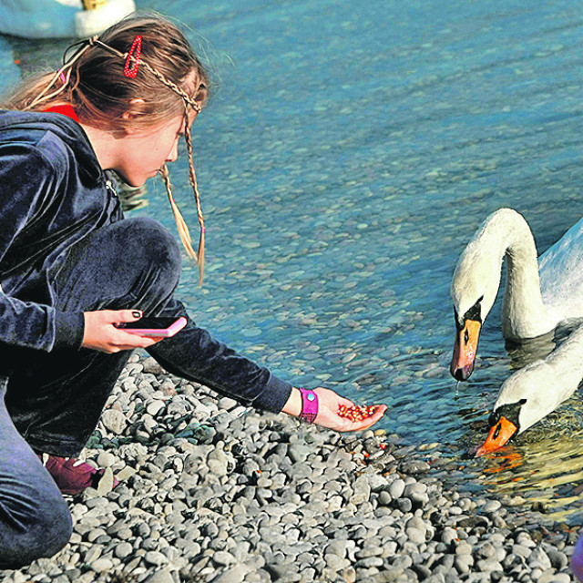 312407-400653-jarun9-160111