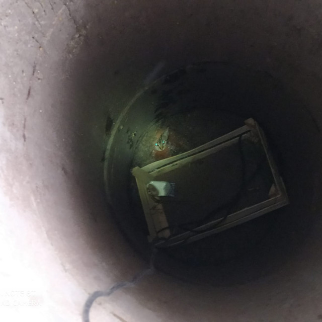 99394211_3680853235275182_3396904529352982528_o