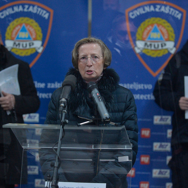 Krunoslav Capak, Alemka Markotić, Davor Božinović