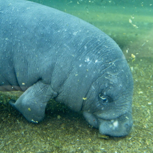 profimedia-0495421840