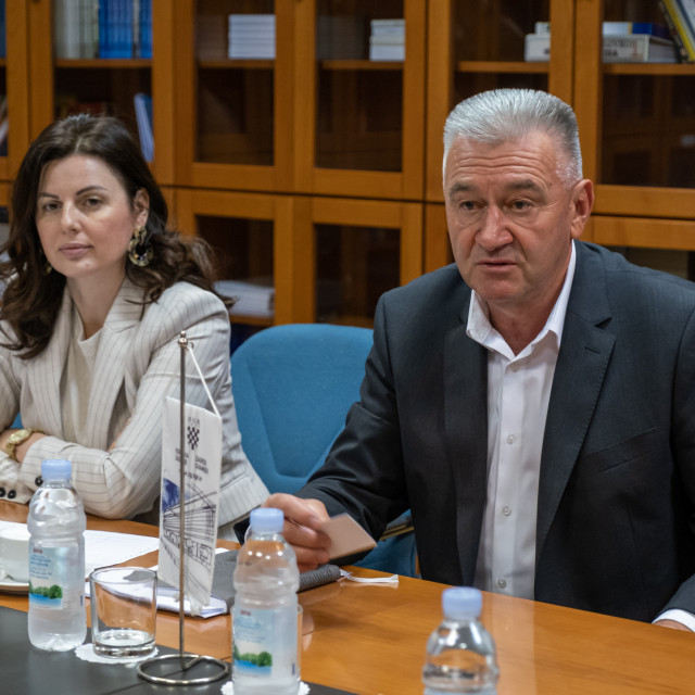 Tomislava Ravlić, Josip Zaher