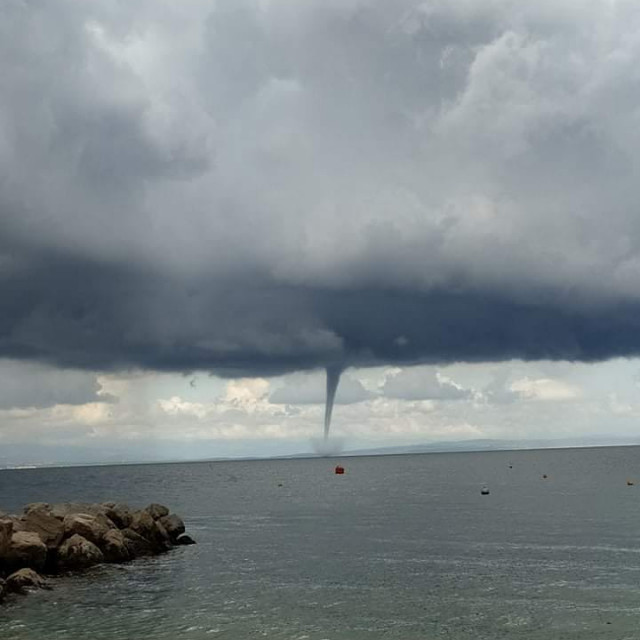 Pijavica na Kvarneru