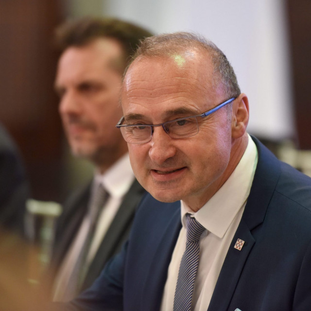 Foreign and European Affairs Minister Gordan Grlic Radman