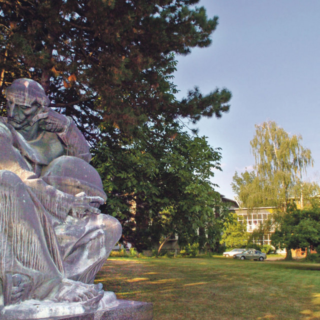 Institut Ruđer Bošković