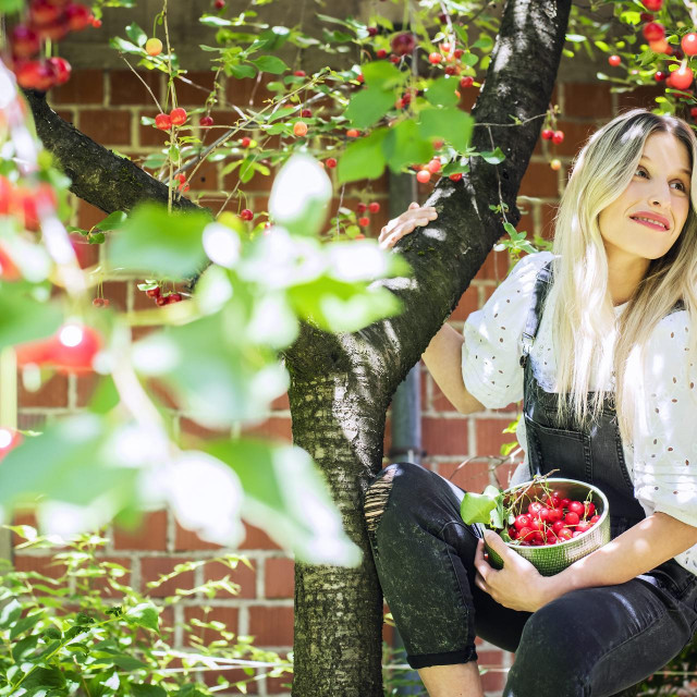 Novinarka Anita Šarić bere višnje u svom vrtu.
