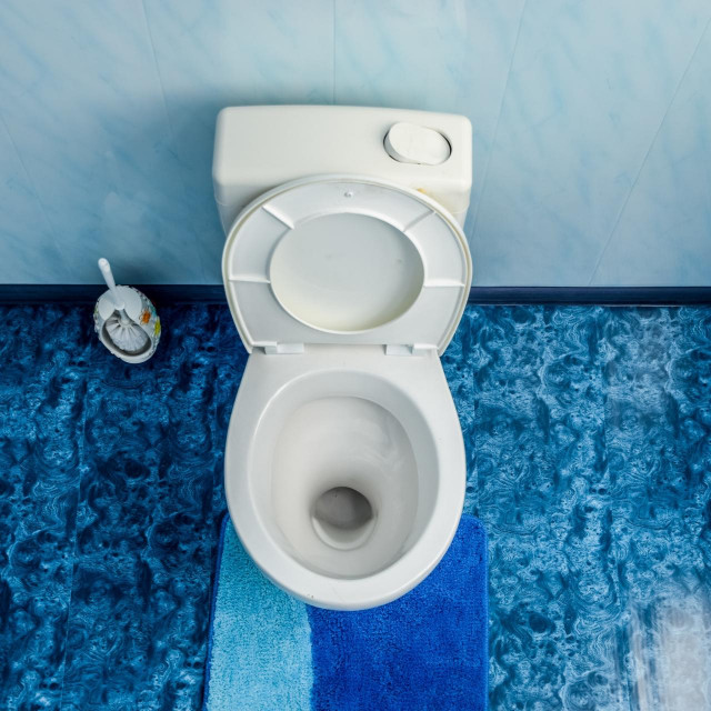 Toilet bowl in the toilet, toilet brush on the side. Blue floor in the toilet,Image: 529028181, License: Royalty-free, Restrictions:, Model Release: no, Credit line: Leonid Eremeychuk/Panthermedia/Profimedia