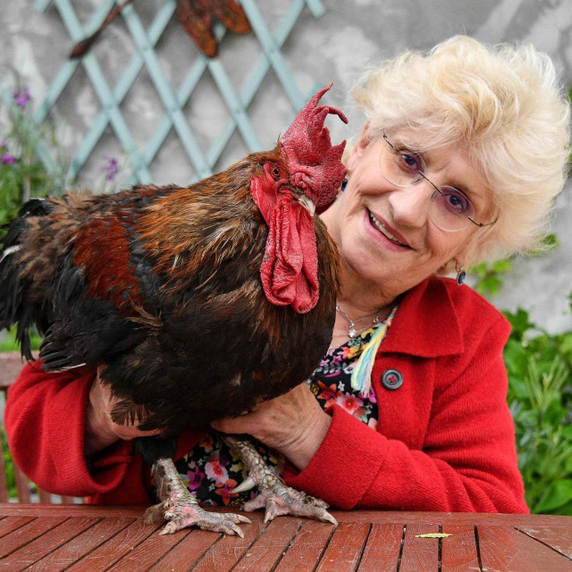 Corinne Fesseau i pijetao Maurice