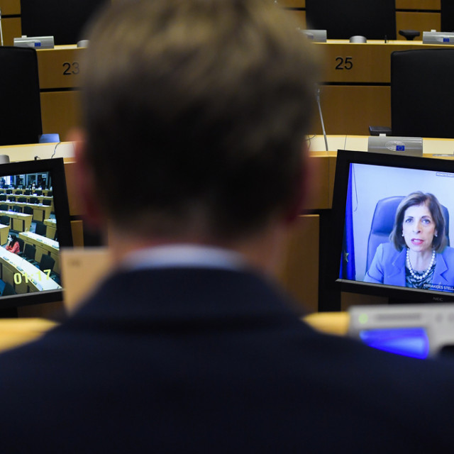 Odbor za zdravlje i sigurnost hrane Europskog parlamenta tijekom video sastanka s povjerenicom Komisije Stellom Kyriakides