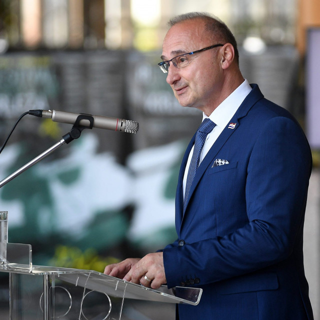 Foreign Minister Gordan Grlic Radman