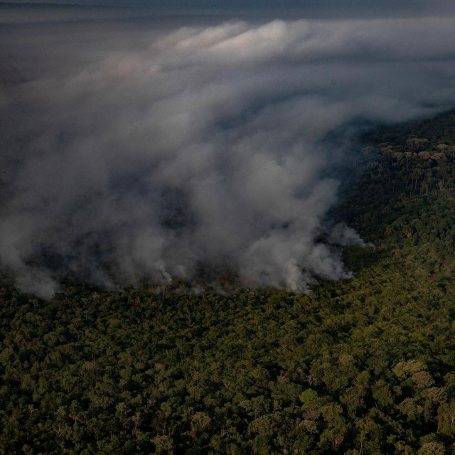 Amazona, požar