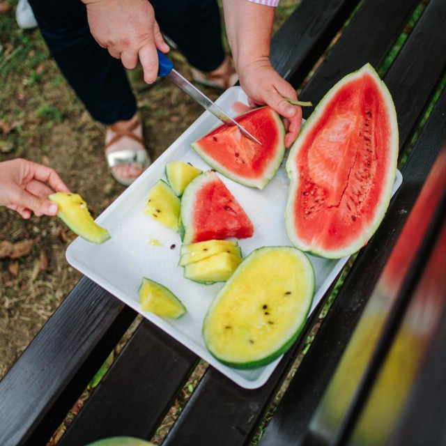 Opg Karas na kojem se bave uzgojem žutih lubenica.