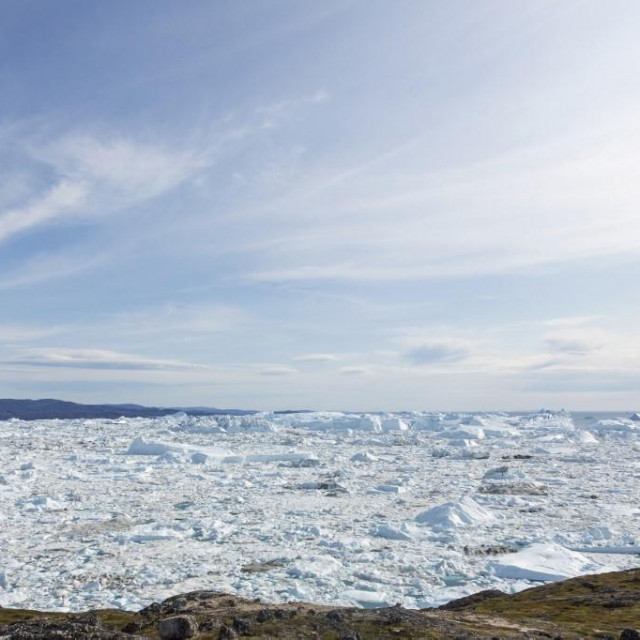 Arktik / Ilustracija