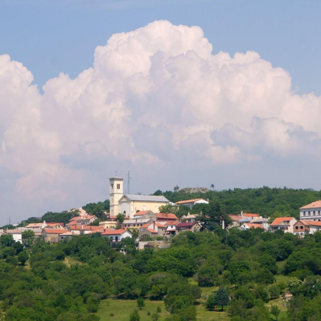 Fotografija: Profimedia 