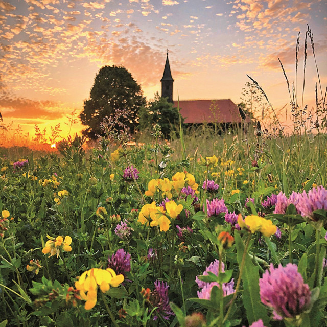 Uz ovakvu prirodu i krajolik ćete zaboraviti na gradsku vrevu...