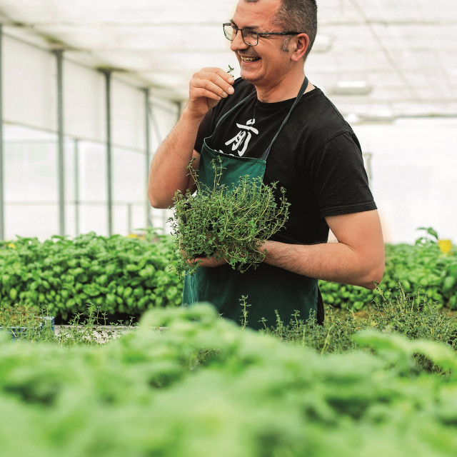 green--friends5-280420