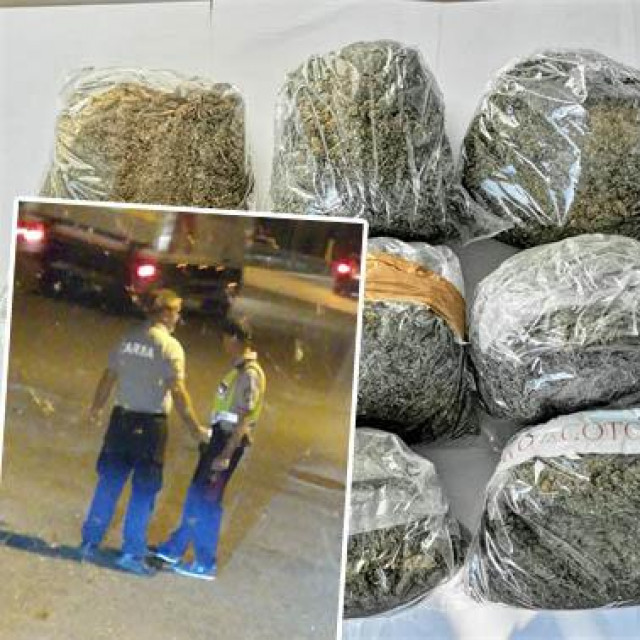 Zaplijenjena marihuana