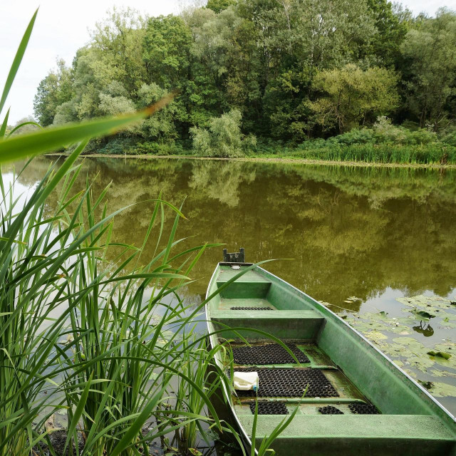 Park prirode Lonjsko polje 