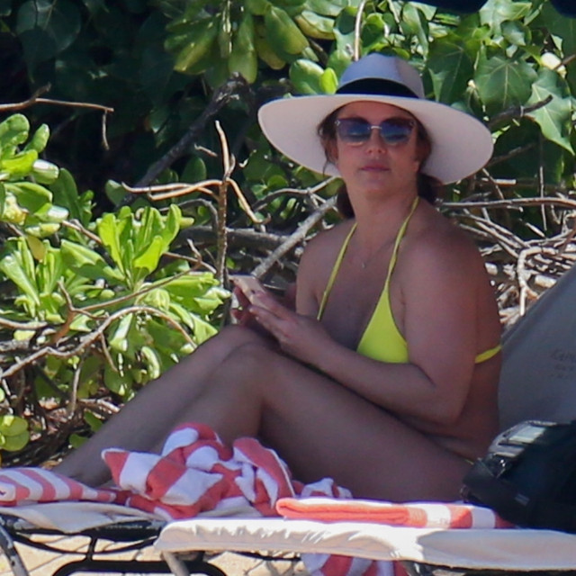 Obožavatelji pjevačice traže da se ukine skrbništvo koje već 12 godina nad njom ima njezin otac.