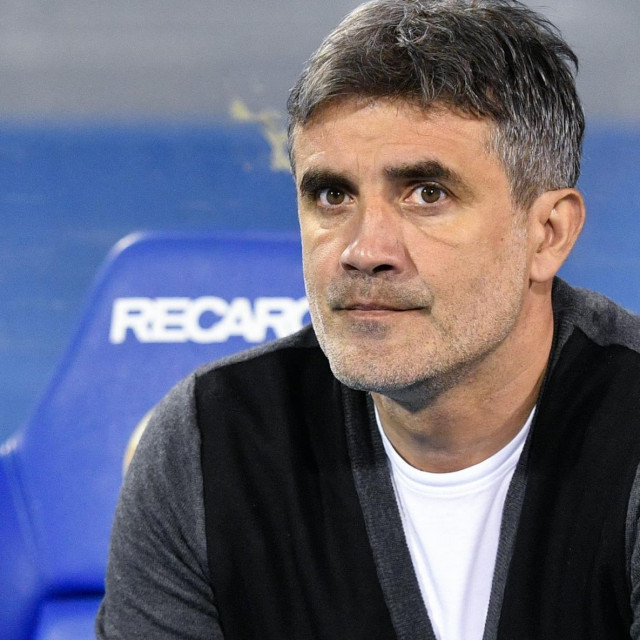 Zoran Mamić