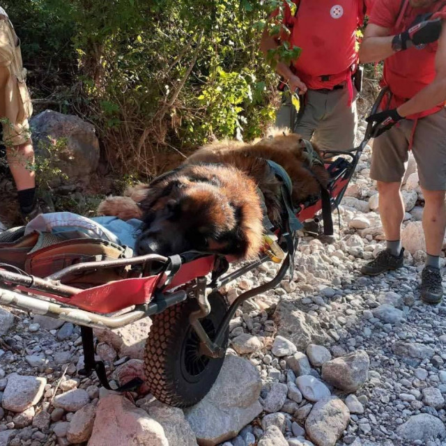 Spašavanje psa u Maloj Paklenici