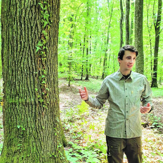 Marko Zorić, dr. šumarstva, direktor je tvrtke SALIX PLAN d.o.o., koja od 2015. radi na pripremi i provedbi projekata iz područja šumarstva i drvne industrije, sufinanciranih iz EU fondova