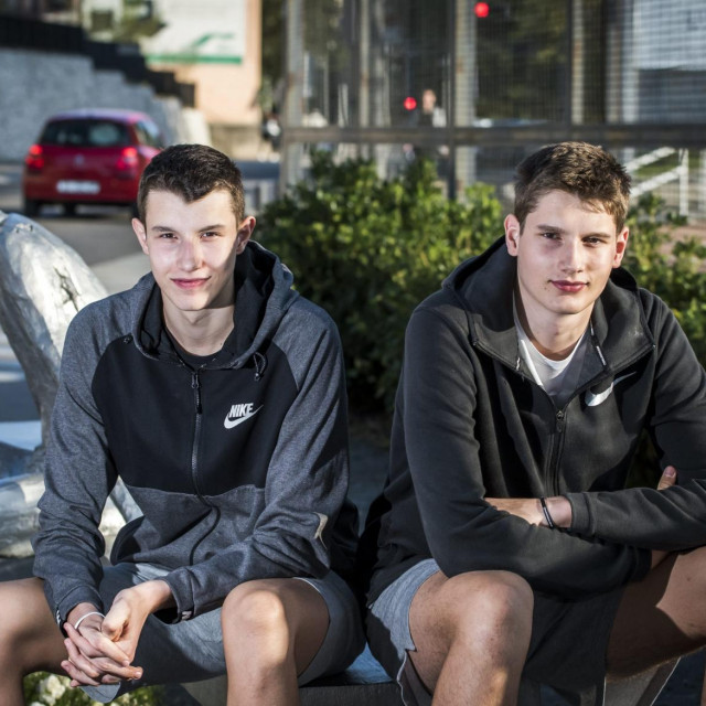 Braca Ivišić, Tomislav i Zvonimir