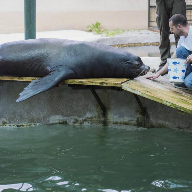 Zoran Vrbanac i Zagi