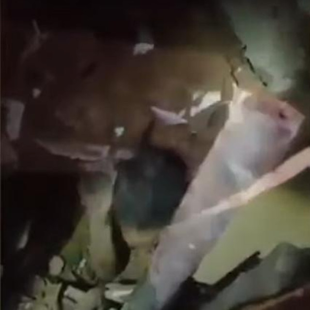 Prikaz pronađene djevojčice iz videa