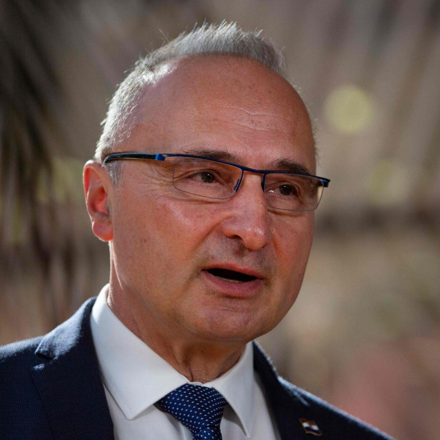 Gordan Grlić Radman