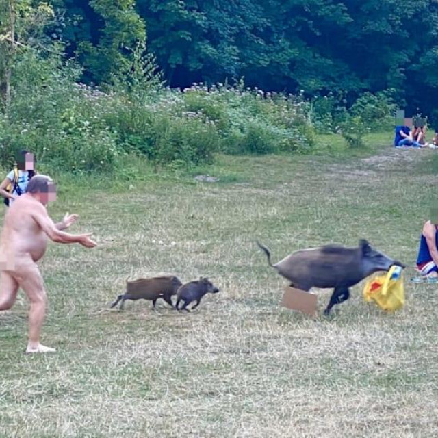 Urnebesne fotografije