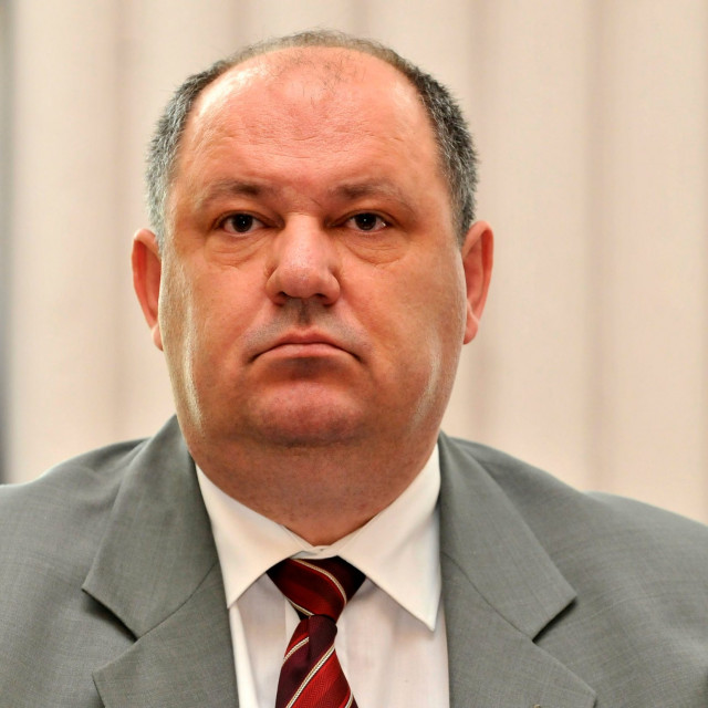 Damir Zorić