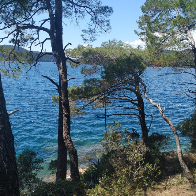 Šetnica na Velikom jezeru unutar nacionalnog parka velikim je dijelom u hladu