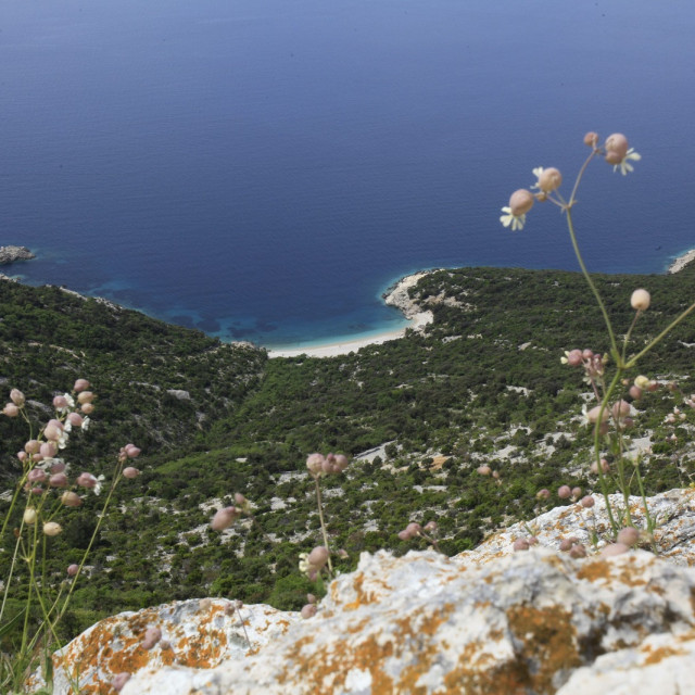 cres_losinj33-020516