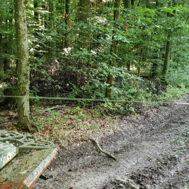 Zamke u šumi kod Daruvara i Lupoglava