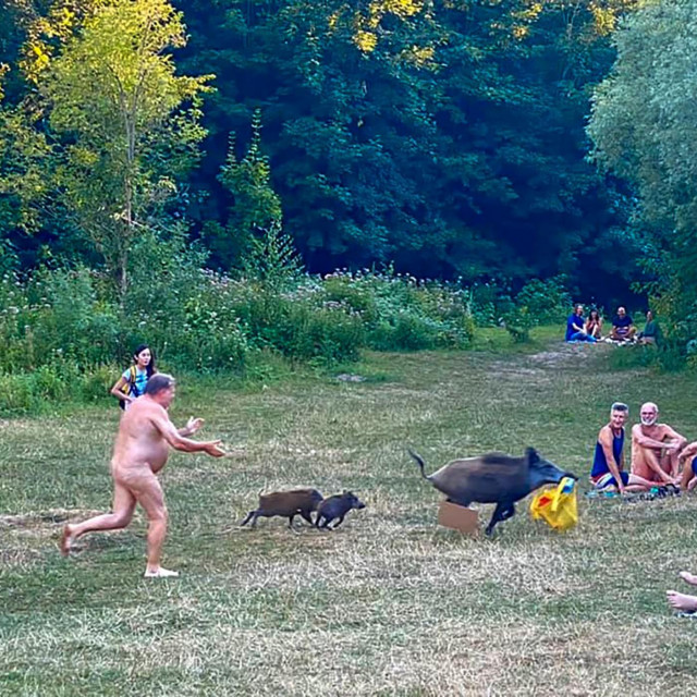 Elsa i golać kojemu je ukrala laptop