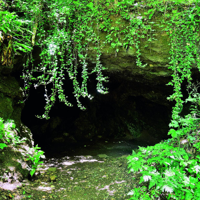 Spilja Veternica.