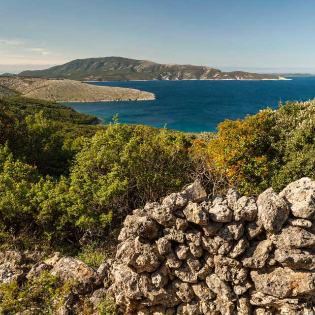 Otok Cres