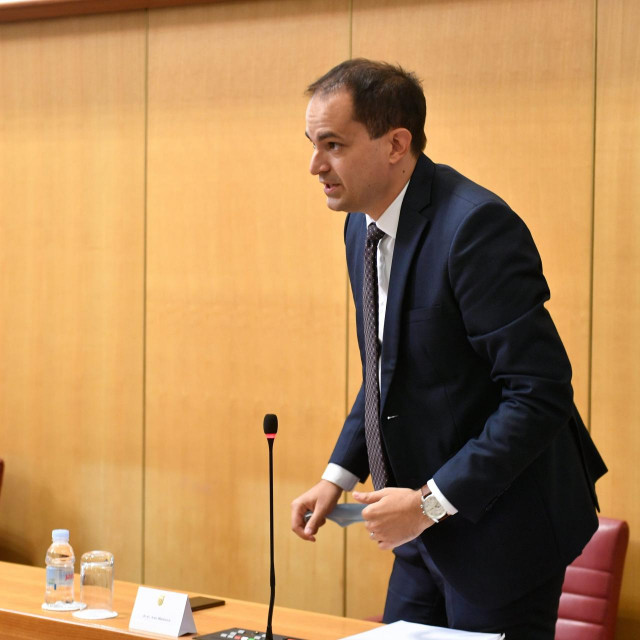 Ivan Malenica