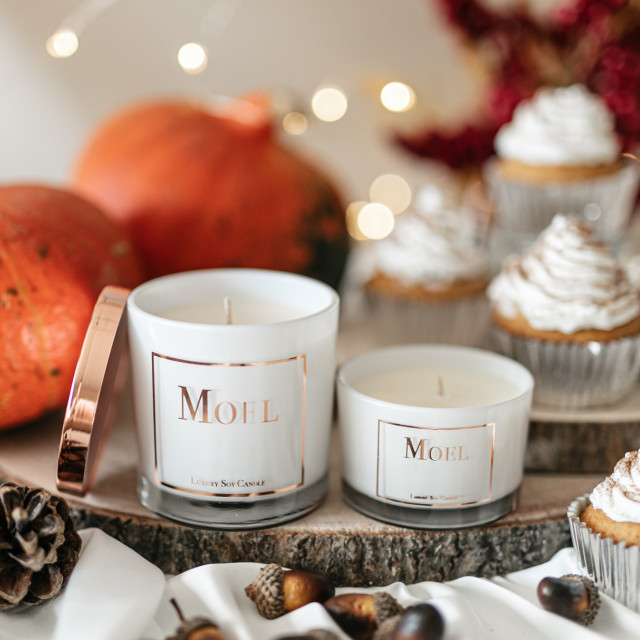 moel-fall-0612 naslovna