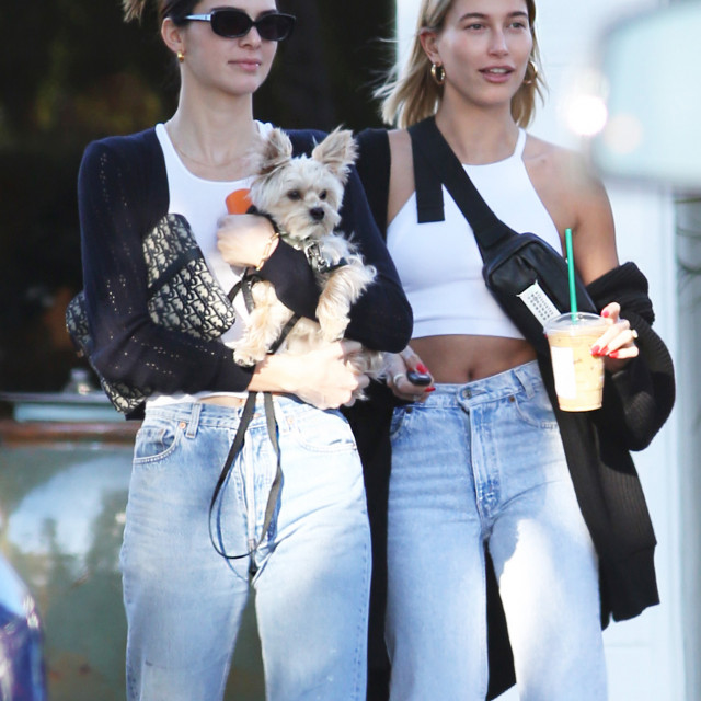 profimedia-0502051733