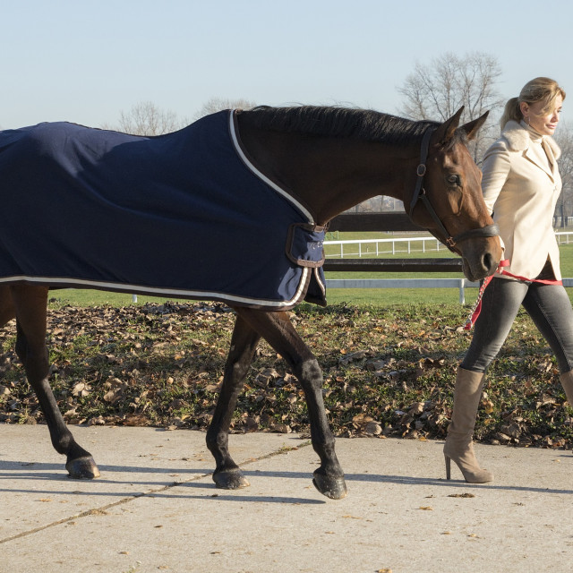 vanja_horvat_11122019008_2