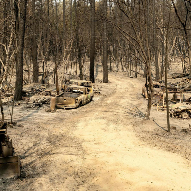 Izgorena šuma Berry Creek u Kaliforniji