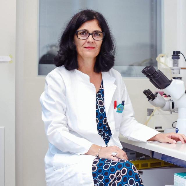 Predstojnica Zavoda za molekularnu biologiju Instituta “Ruđer Bošković” i članica Znanstvenog savjeta za borbu protiv pandemije koronavirusa Vlade RH Andreja Ambriović Ristov
