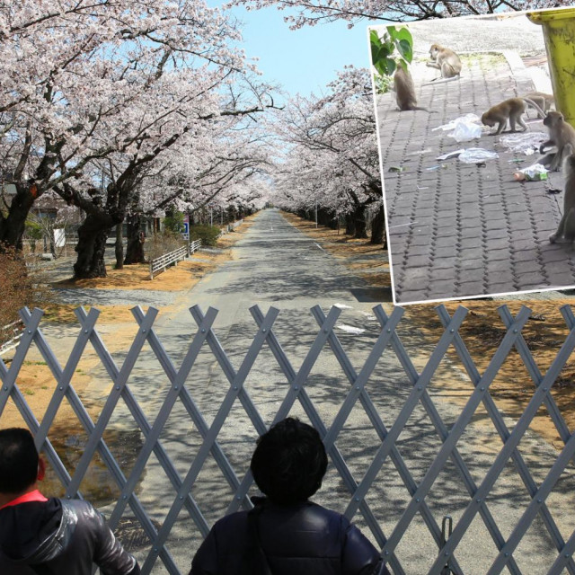 Prizor iz Fukushime/Ilustracija