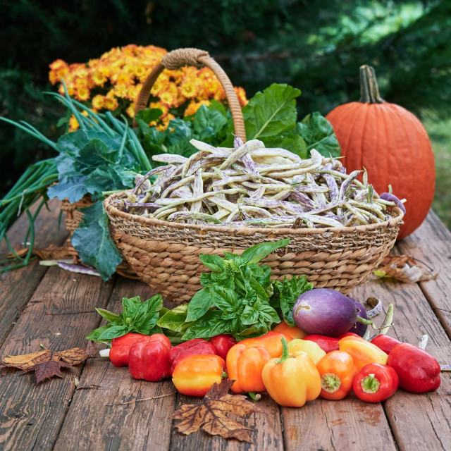 Svemir Brkić, Unsplash